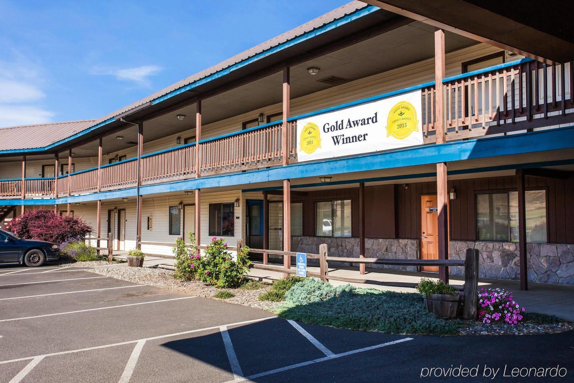 Quality & 3* Goldendale