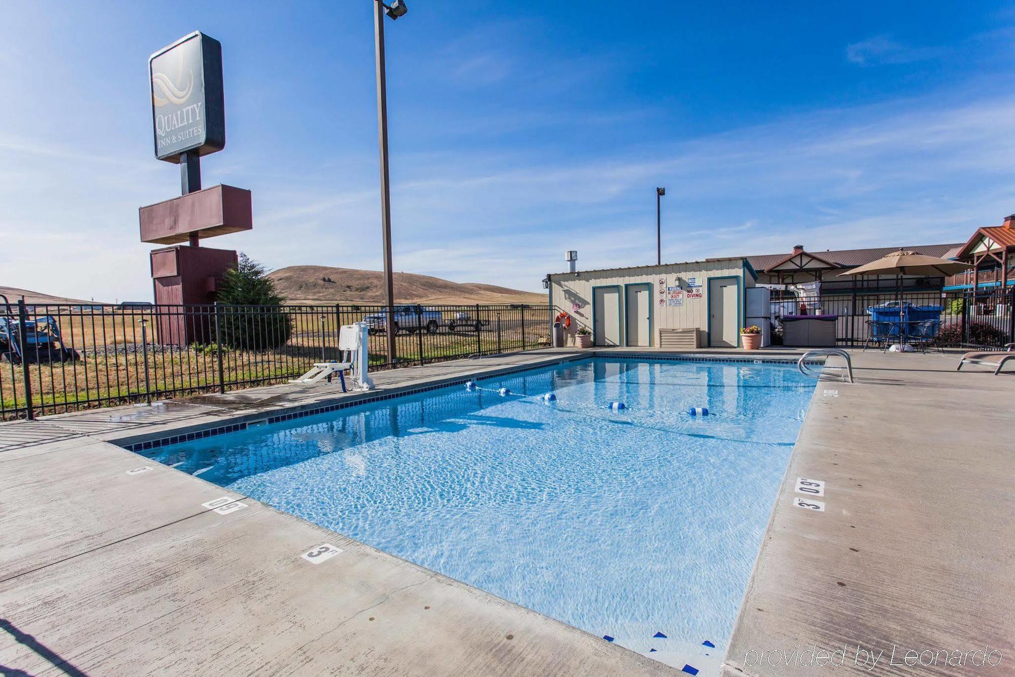 Quality & 3* Goldendale