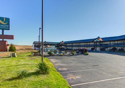 Quality & 3* Goldendale